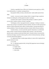 Gamybos teorija ir funkcija 3 puslapis