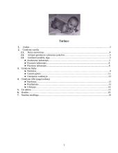 Gimdymas: anksčiau ir dabar 2 puslapis