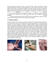 Gimdymas: anksčiau ir dabar 12 puslapis