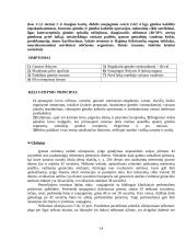 Gimdymas: anksčiau ir dabar 14 puslapis