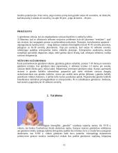 Gimdymas: anksčiau ir dabar 15 puslapis