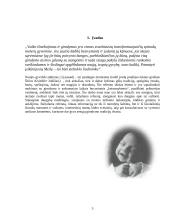 Gimdymas: anksčiau ir dabar 3 puslapis