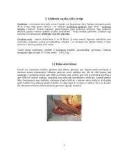 Gimdymas: anksčiau ir dabar 4 puslapis