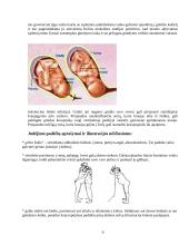 Gimdymas: anksčiau ir dabar 6 puslapis