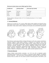Gimdymas: anksčiau ir dabar 8 puslapis