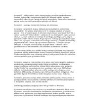 Gyvsidabris ir gyvsidabrio charakteristika 2 puslapis