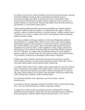 Gyvsidabris ir gyvsidabrio charakteristika 5 puslapis