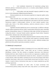 Globalizacija. Globalizacijos poveikis Lietuvai ir socialinei aplinkai 6 puslapis