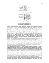 Holografija ir jos taikymas 5 puslapis