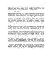 Holografija ir jos taikymas 7 puslapis