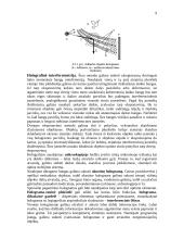 Holografija ir jos taikymas 9 puslapis