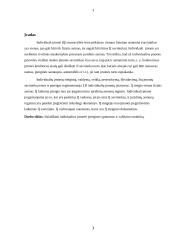 Individualios įmonės steigimo ypatumai ir valdymo struktūra 3 puslapis