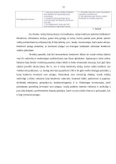 Investicijų politika 11 puslapis