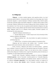 Investicijų politika 12 puslapis