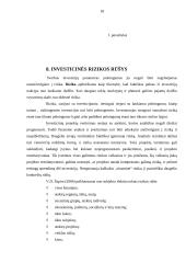 Investicijų politika 17 puslapis