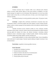 Investicijų politika 2 puslapis