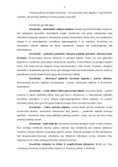 Investicijų politika 4 puslapis