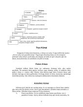 Joga Rytų filosofijoje 6 puslapis