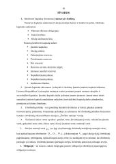 Kapitalo sudėtis, vertė ir dividendai 17 puslapis