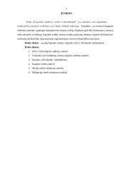 Kapitalo sudėtis, vertė ir dividendai 3 puslapis