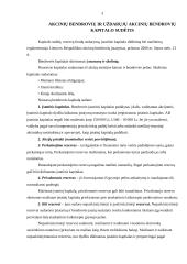 Kapitalo sudėtis, vertė ir dividendai 4 puslapis