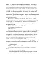 Kapitalo sudėtis, vertė ir dividendai 6 puslapis