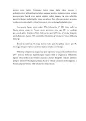 Klaipėdos išorinės rinkos analizė 11 puslapis