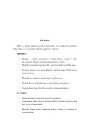 Klaipėdos išorinės rinkos analizė 12 puslapis