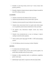 Klaipėdos išorinės rinkos analizė 13 puslapis