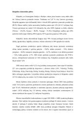 Klaipėdos išorinės rinkos analizė 3 puslapis