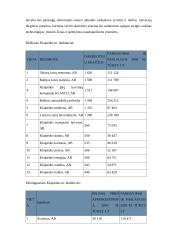 Klaipėdos išorinės rinkos analizė 4 puslapis