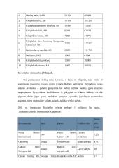 Klaipėdos išorinės rinkos analizė 5 puslapis