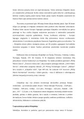 Klaipėdos išorinės rinkos analizė 7 puslapis