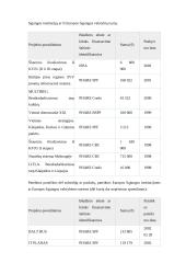 Klaipėdos išorinės rinkos analizė 8 puslapis