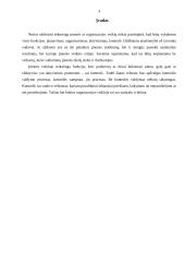 Kontrolės procesas ir kontrolės proceso analizė 3 puslapis