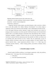 Kontrolės procesas ir kontrolės proceso analizė 5 puslapis