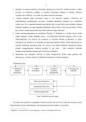 Kontrolės procesas ir kontrolės proceso analizė 7 puslapis