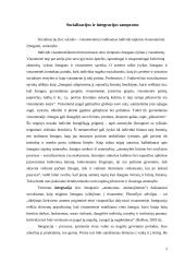 Kurčiųjų socializacija ir integracija 2 puslapis