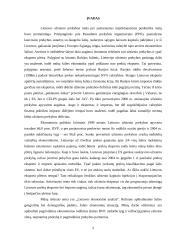 Lietuvos ir jos ekonomika 2 puslapis