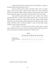 Lietuvos ir jos ekonomika 10 puslapis