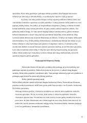 Lietuvos eksporto į Daniją raida nuo 2000 metų 13 puslapis