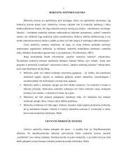 Lietuvos mokesčių sistemos vertinimas 2 puslapis