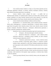 Lietuvos mokesčių sistemos vertinimas 12 puslapis