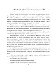 Logistikos veikla Lietuvoje 9 puslapis