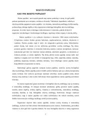 Maisto papildai 2 puslapis