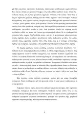 Maisto papildai 4 puslapis