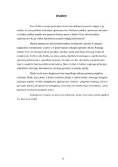 Maldos reikšmė religijose 8 puslapis