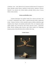 Marta Gragham 8 puslapis