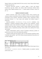 Medžiai. Medienos panaudojimas 12 puslapis