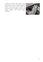 Medžiai. Medienos panaudojimas 16 puslapis